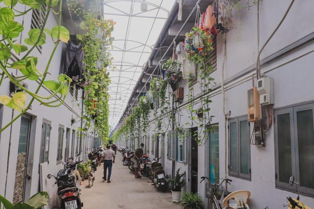 Lượt tìm kiếm phòng trọ tại TP.HCM tăng vọt 130%- Ảnh 1.