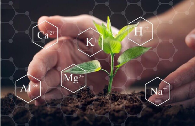 Ngành phân bón tăng tốc xuất khẩu trong 2 tháng đầu năm- Ảnh 1. Ngành phân bón tăng tốc xuất khẩu trong 2 tháng đầu năm- Ảnh 1.