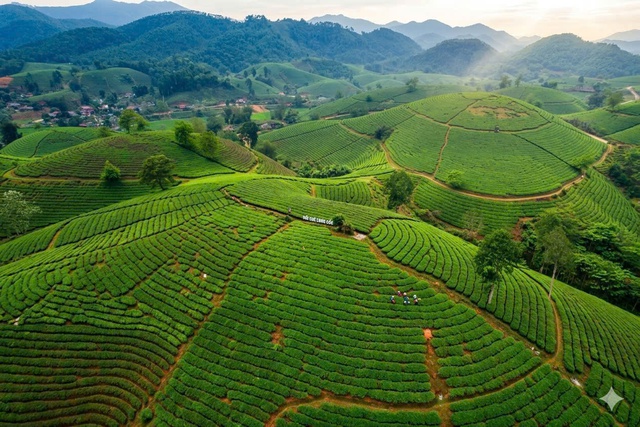 Phú Thọ nâng tầm trải nghiệm du lịch, kiến tạo động lực mới cho tăng trưởng kinh tế- Ảnh 3. Phú Thọ nâng tầm trải nghiệm du lịch, kiến tạo động lực mới cho tăng trưởng kinh tế- Ảnh 3.