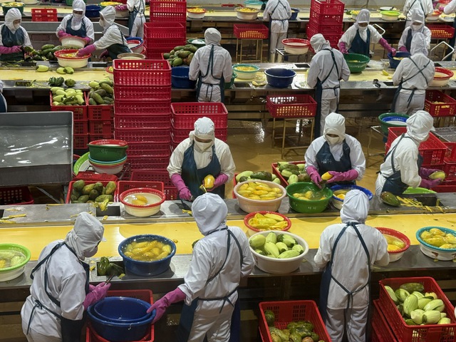 Doanh nghiệp xuất khẩu nông sản linh hoạt giải pháp để giữ thị trường- Ảnh 1.