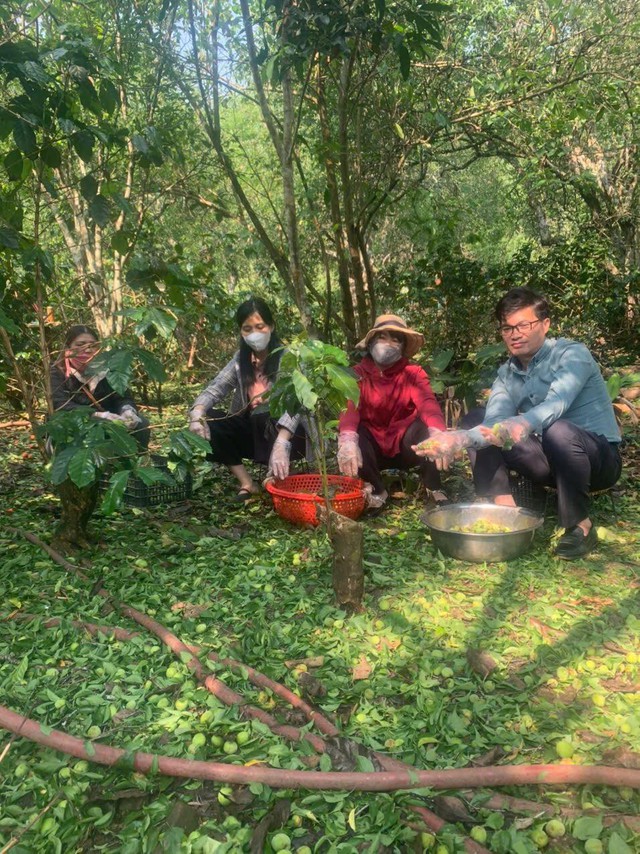 Mưa đá gây thiệt hại nặng nề cho nhiều nhà vườn tại Sơn La- Ảnh 2.