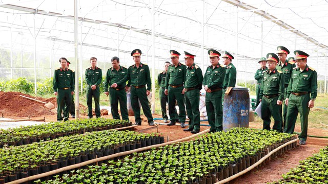 Đoàn Kinh tế - Quốc phòng Quảng Sơn: Giữ đất, giữ rừng, tạo sinh kế, củng cố “thế trận lòng dân”- Ảnh 2.