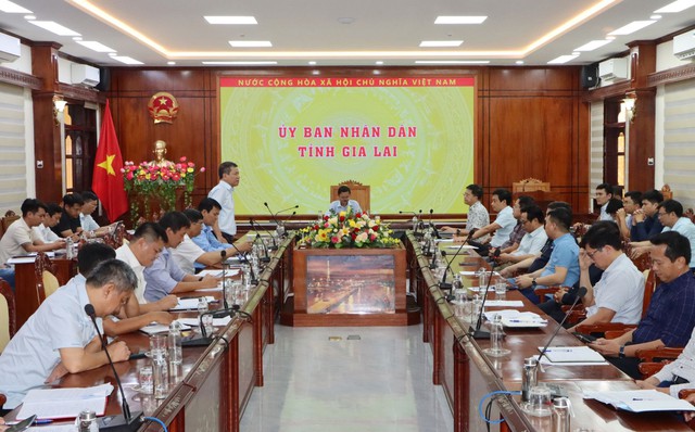 Gia Lai: Đẩy nhanh tiến độ dự án đường bộ cao tốc Quy Nhơn - Pleiku- Ảnh 1.