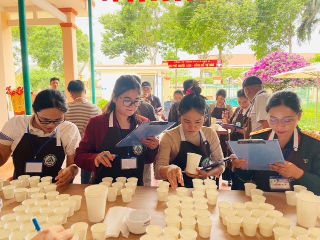 Công ty cà phê 15: Phối hợp tổ chức khóa học “cảm quan và đánh giá chất lượng cà phê”- Ảnh 4.
