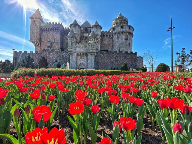 Khách miền Trung - Tây Nguyên đến Ba Na Hills tăng hơn 60%- Ảnh 5.