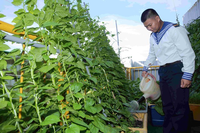 Những “vườn treo” trên ngọn sóng- Ảnh 4.