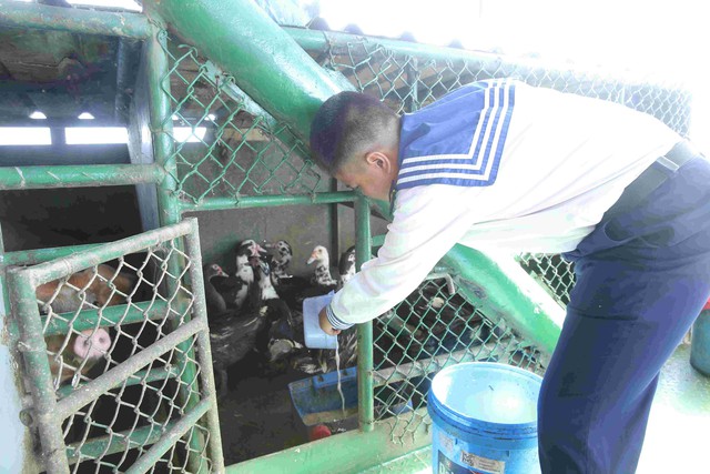 Những “vườn treo” trên ngọn sóng- Ảnh 5.