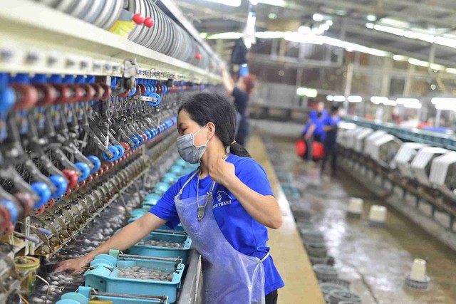 Những điểm nghẽn trong quá trình nội địa hóa của ngành dệt may- Ảnh 1.