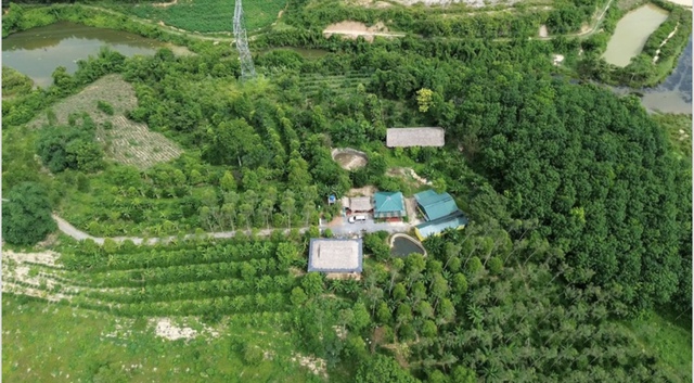 Nữ ứng viên người Thổ và khát vọng đưa tiếng nói phụ nữ miền núi tới nghị trường- Ảnh 4.