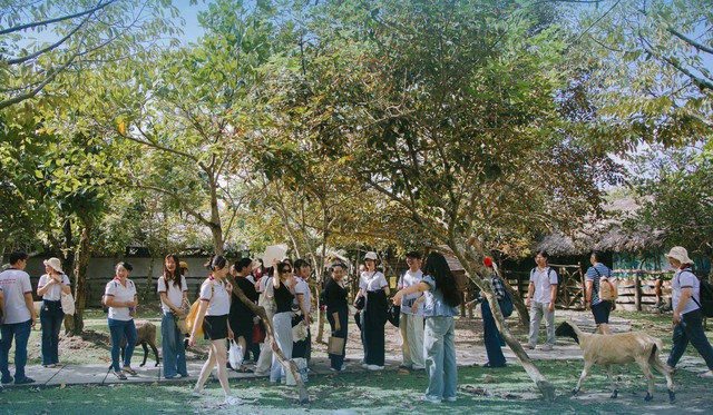 Du lịch TP Cần Thơ 3 tháng đầu năm đón trên 3,4 triệu lượt khách, doanh thu trên 3.000 tỷ đồng- Ảnh 2. Du lịch TP Cần Thơ 3 tháng đầu năm đón trên 3,4 triệu lượt khách, doanh thu trên 3.000 tỷ đồng- Ảnh 2.