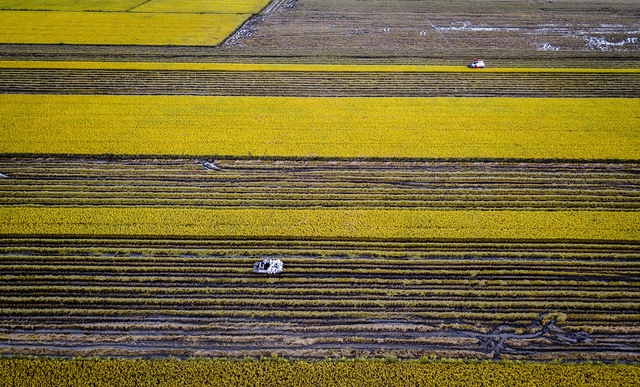 Du lịch TP Cần Thơ 3 tháng đầu năm đón trên 3,4 triệu lượt khách, doanh thu trên 3.000 tỷ đồng- Ảnh 3. Du lịch TP Cần Thơ 3 tháng đầu năm đón trên 3,4 triệu lượt khách, doanh thu trên 3.000 tỷ đồng- Ảnh 3.