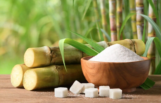 Thị trường mía đường đang ở tình trạng cung vượt cầu- Ảnh 1.