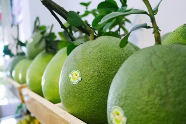 Bưởi và chanh được xuất khẩu chính ngạch sang thị trường Trung Quốc- Ảnh 1.