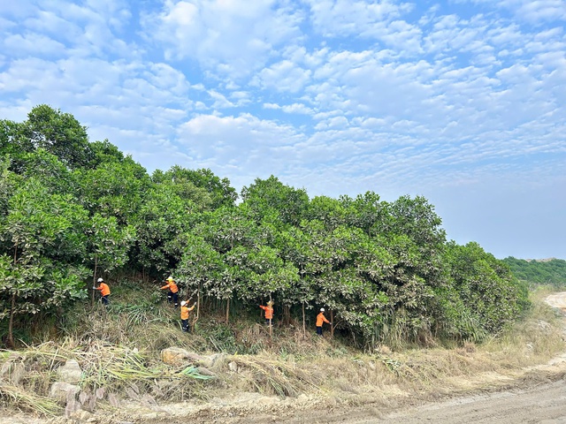 Masan High-Tech Materials: Khoáng sản chiến lược cho kỷ nguyên AI- Ảnh 2.