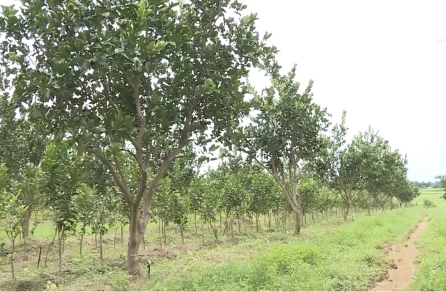 Thanh Hóa: Định vị sản phẩm theo “bản sắc sinh thái”- Ảnh 2.