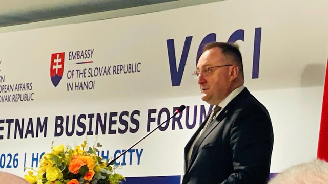 Việt Nam - Slovakia tăng tốc thu hút liên kết kinh tế và đầu tư- Ảnh 1.