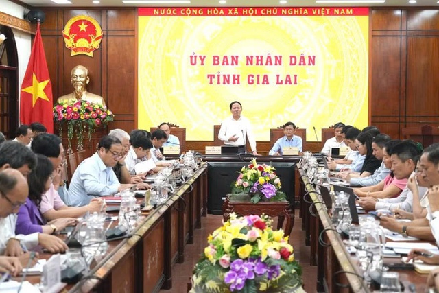 Gia Lai đẩy nhanh tiến độ các dự án đầu tư trên địa bàn tỉnh- Ảnh 1.