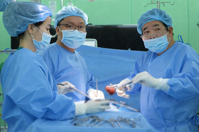 Phẫu thuật thành công cho bệnh nhân người Campuchia bị sỏi thận san hô to, khối lượng lớn- Ảnh 3.