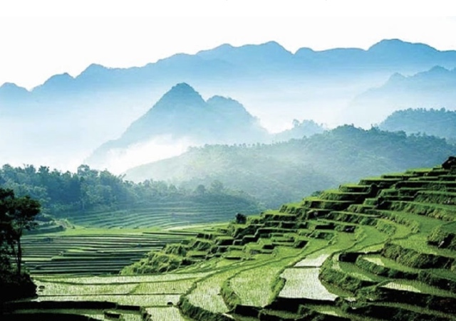 Xứ Thanh - Vẻ đẹp hội tụ và khát vọng vươn xa- Ảnh 3.