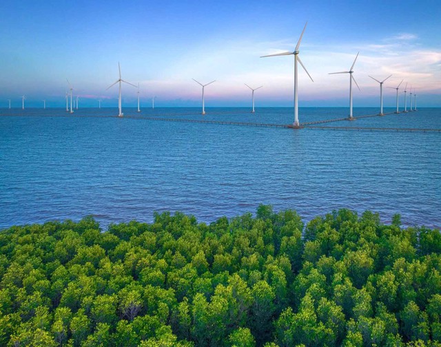 Cà Mau đặt mục tiêu tăng trưởng sản lượng điện sản xuất bình quân hàng năm đạt 10,4%- Ảnh 1.