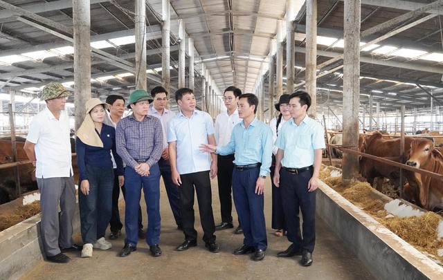 Quảng Trị: Lãnh đạo UBND tỉnh kiểm tra thực địa các dự án chăn nuôi công nghệ cao- Ảnh 1.