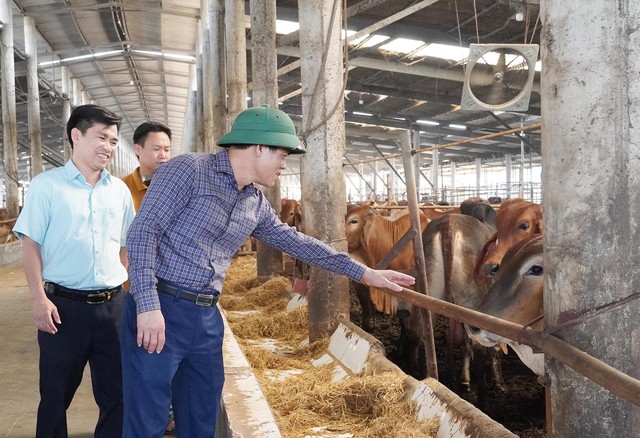 Quảng Trị: Lãnh đạo UBND tỉnh kiểm tra thực địa các dự án chăn nuôi công nghệ cao- Ảnh 2.