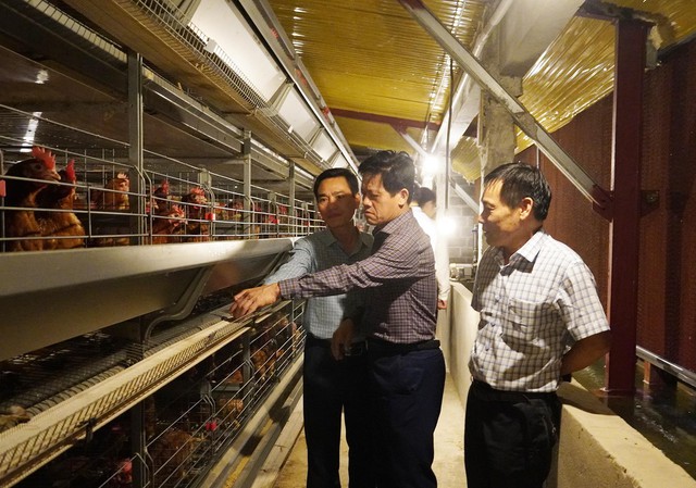 Quảng Trị: Lãnh đạo UBND tỉnh kiểm tra thực địa các dự án chăn nuôi công nghệ cao- Ảnh 3.