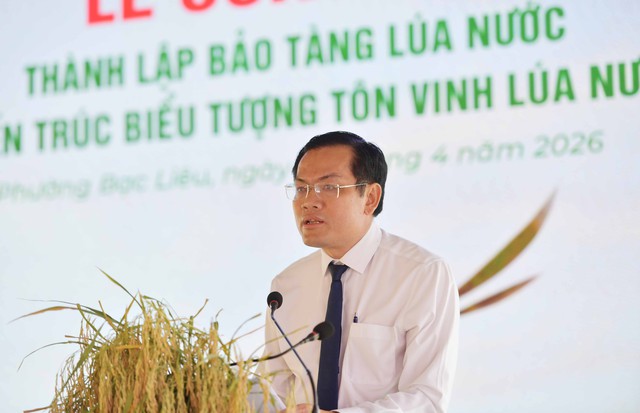 Cà Mau thành lập Bảo tàng Lúa nước và Biểu tượng tôn vinh lúa nước- Ảnh 6.