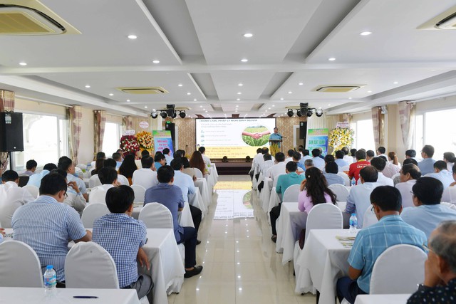 Cà Mau nâng cao hiệu quả liên kết sản xuất, tiêu thụ và phát triển bền vững ngành hàng lúa gạo- Ảnh 1.