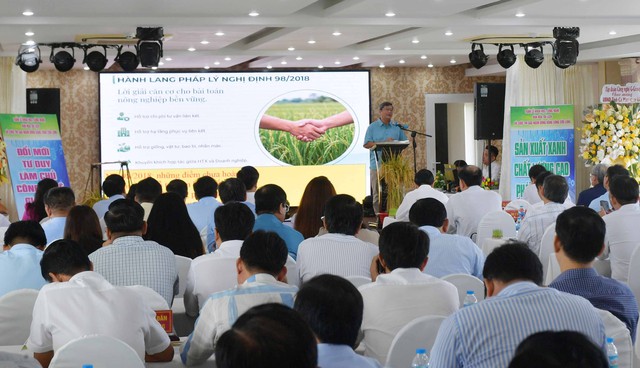 Cà Mau nâng cao hiệu quả liên kết sản xuất, tiêu thụ và phát triển bền vững ngành hàng lúa gạo- Ảnh 4.