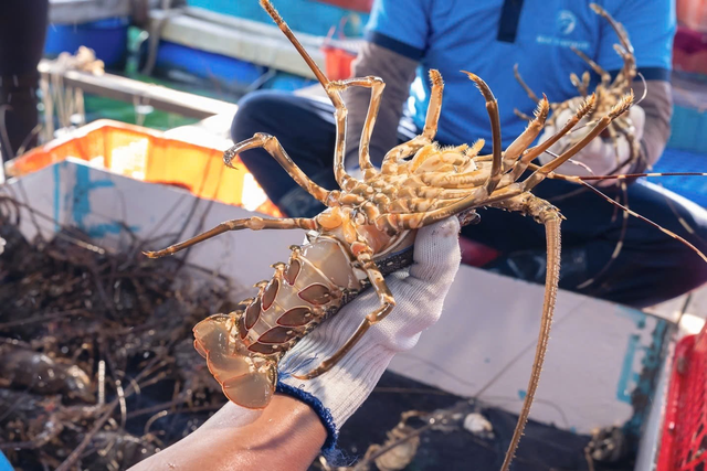 KLC Group sau 9 năm: Khi hệ sinh thái bước vào giai đoạn “chín” để bứt tốc- Ảnh 3. KLC Group sau 9 năm: Khi hệ sinh thái bước vào giai đoạn “chín” để bứt tốc- Ảnh 3.