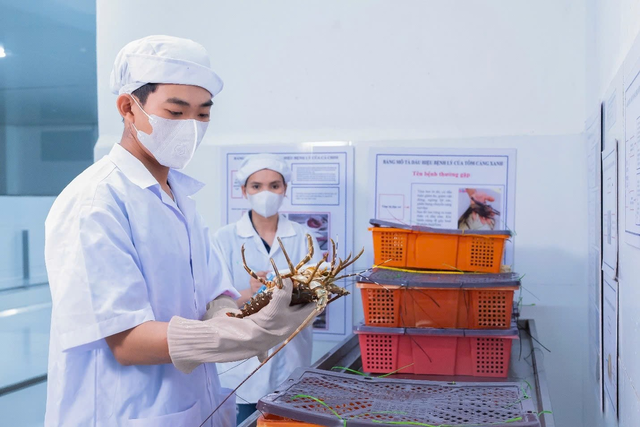 KLC Group sau 9 năm: Khi hệ sinh thái bước vào giai đoạn “chín” để bứt tốc- Ảnh 4. KLC Group sau 9 năm: Khi hệ sinh thái bước vào giai đoạn “chín” để bứt tốc- Ảnh 4.