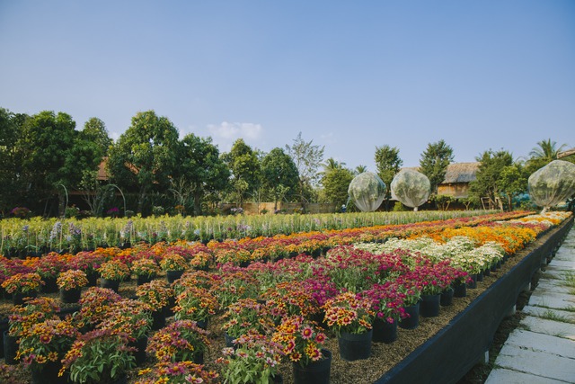 Nhiều khuyến mại hấp dẫn dịp nghỉ Lễ 30/4 và 1/5 tại Cantho Eco Resort du khách không thể bỏ qua- Ảnh 9.