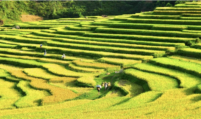 Du lịch Thanh Hóa: Phát huy vai trò “nhạc trưởng” để giữ nhiệt thị trường- Ảnh 5.