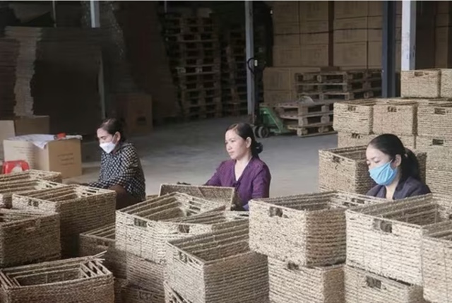 Nâng hạng nông sản xứ Thanh bằng tư duy số hóa chuỗi giá trị- Ảnh 2.