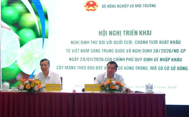 Trung Quốc mở cửa chính ngạch cho bưởi và chanh tươi Việt Nam- Ảnh 1.