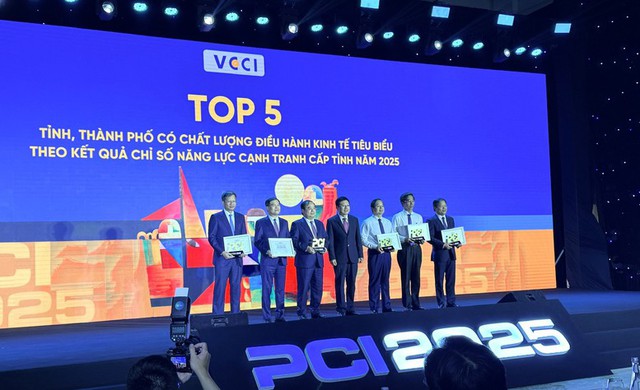 TPHCM dẫn đầu cả nước về Chỉ số hiệu quả kinh tế tư nhân- Ảnh 1.