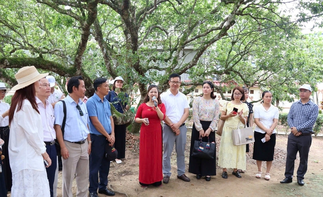 Hải Phòng: Xây dựng tour trải nghiệm “Mùa quả chín xứ Đông”, đánh thức tiềm năng du lịch nông nghiệp- Ảnh 1.