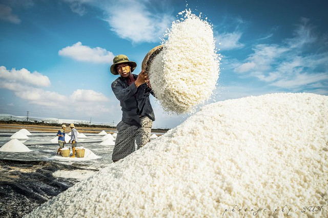 Xây dựng  khung pháp lý linh hoạt để phát triển ngành muối bền vững- Ảnh 1.