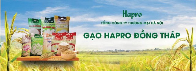Gạo Hapro Đồng Tháp: Nâng tầm hạt ngọc Việt trên hành trình vươn ra thế giới- Ảnh 1.