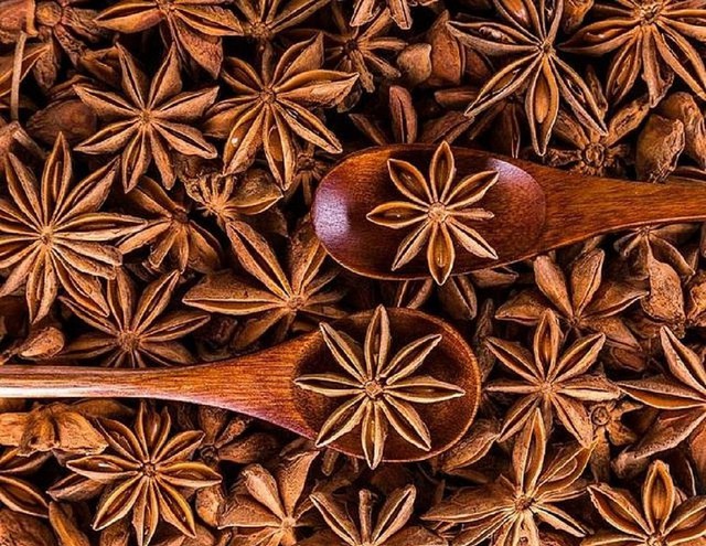 Xuất khẩu hoa hồi sụt giảm cả lượng và kim ngạch trong 4 tháng đầu năm- Ảnh 1. Xuất khẩu hoa hồi sụt giảm cả lượng và kim ngạch trong 4 tháng đầu năm- Ảnh 1.