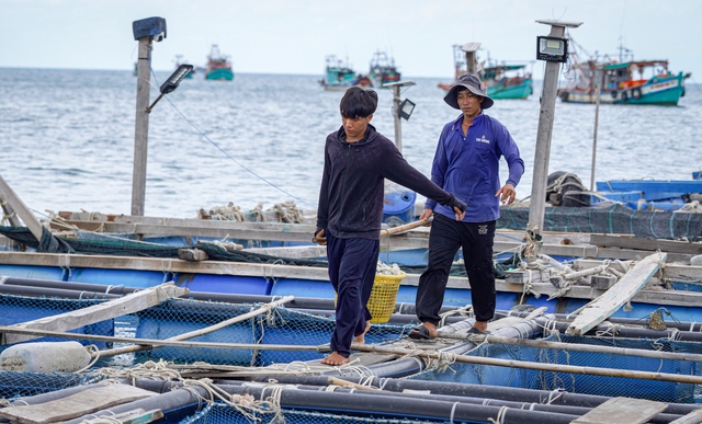 Dòng vốn tín dụng Agribank khơi thông, làm 