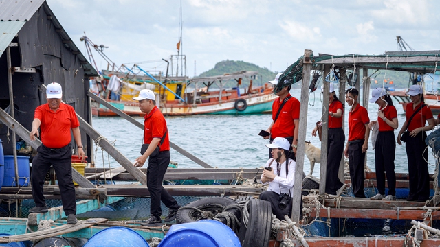 Dòng vốn tín dụng Agribank khơi thông, làm "bệ đỡ" để người dân yên tâm đầu tư nuôi cá lồng bè trên biển cho thu nhập cao- Ảnh 10.