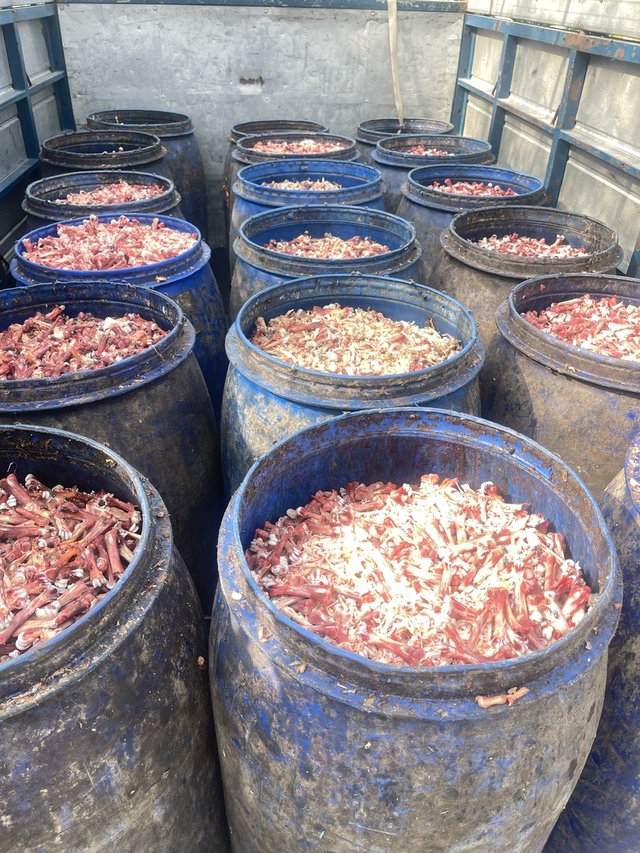 Hưng Yên: Phát hiện, xử lý hơn 1,6 tấn xương chân gà bốc mùi hôi thối trên đường đi tiêu thụ- Ảnh 2.