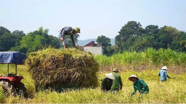 Chuyển đổi số đang định hình diện mạo mới cho nông nghiệp Thanh Hóa - Ảnh 3.