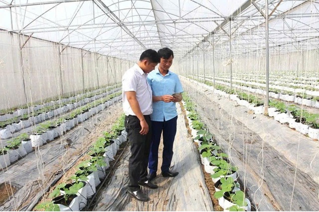 Chuyển đổi số đang định hình diện mạo mới cho nông nghiệp Thanh Hóa - Ảnh 2.