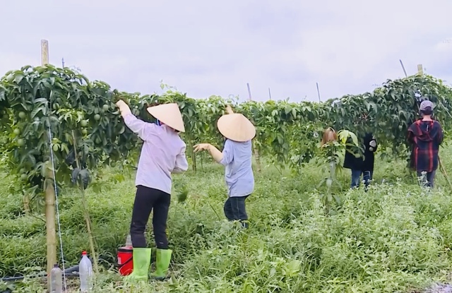 Thanh Hóa: Từ xây dựng nông thôn mới đến kiến tạo động lực phát triển - Ảnh 1.