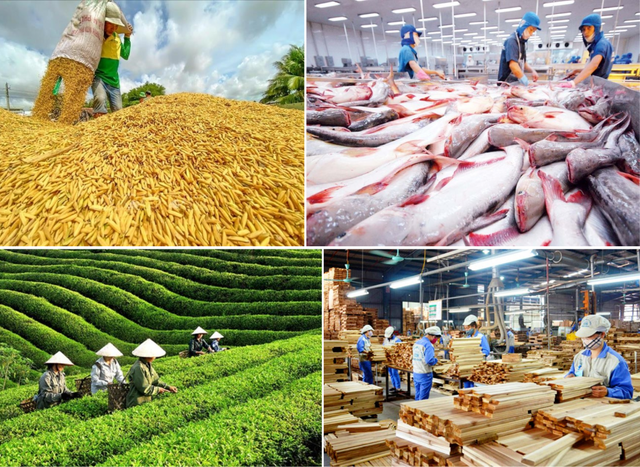 Việt Nam xuất siêu nông lâm thủy sản hơn 7 tỷ USD - Ảnh 1.