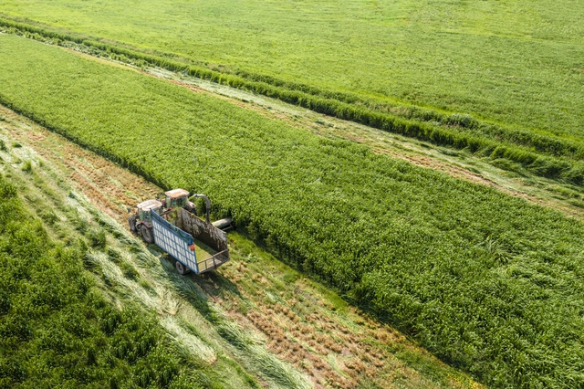 3 năm liền góp mặt trong Fortune SEA 500: Vinamilk khẳng định vị thế thương hiệu sữa Việt - Ảnh 3.