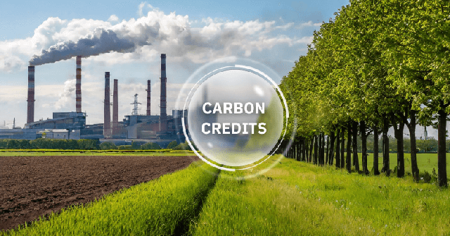 5 CTCK đầu tiên được phép tham gia thị trường carbon- Ảnh 1.